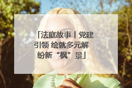 法庭故事丨党建引领 绘就多元解纷新“枫”景