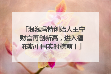 泡泡玛特创始人王宁财富再创新高，进入福布斯中国实时榜前十
