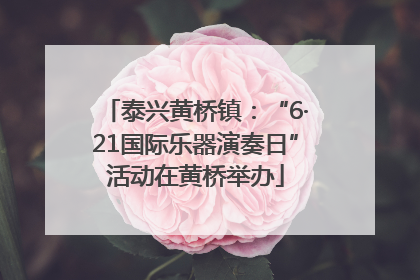 泰兴黄桥镇：“6·21国际乐器演奏日”活动在黄桥举办