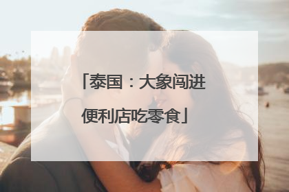 泰国：大象闯进便利店吃零食