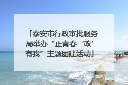 泰安市行政审批服务局举办“正青春‘政’有我”主题团建活动