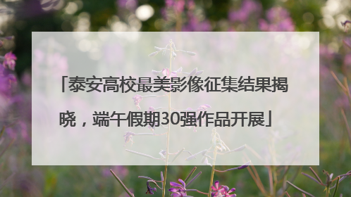 泰安高校最美影像征集结果揭晓，端午假期30强作品开展
