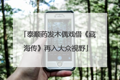 泰顺药发木偶戏借《藏海传》再入大众视野
