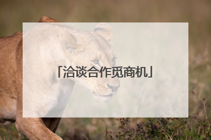 洽谈合作觅商机