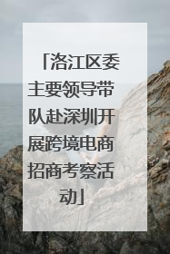 洛江区委主要领导带队赴深圳开展跨境电商招商考察活动