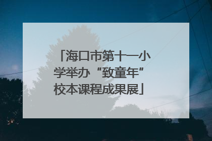 海口市第十一小学举办“致童年”校本课程成果展