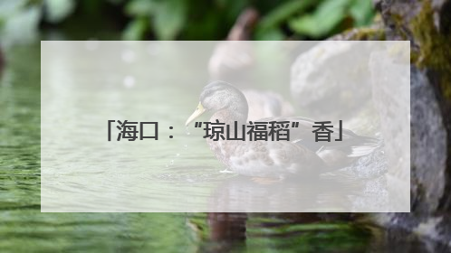 海口：“琼山福稻”香