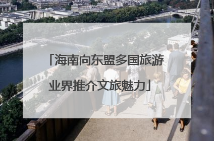 海南向东盟多国旅游业界推介文旅魅力