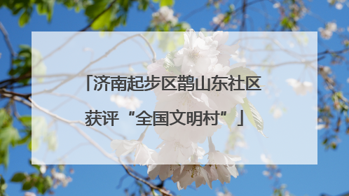 济南起步区鹊山东社区获评“全国文明村”