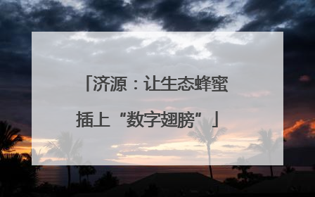 济源：让生态蜂蜜插上“数字翅膀”
