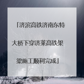 济滨高铁济南东特大桥下穿济莱高铁架梁施工顺利完成