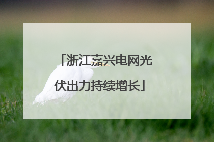 浙江嘉兴电网光伏出力持续增长