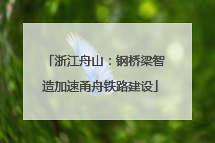浙江舟山：钢桥梁智造加速甬舟铁路建设