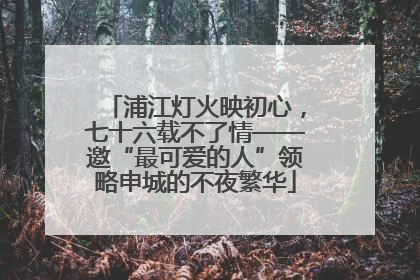 浦江灯火映初心，七十六载不了情——邀“最可爱的人”领略申城的不夜繁华