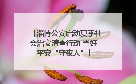 淄博公安启动夏季社会治安清查行动 当好平安“守夜人”