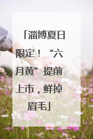 淄博夏日限定！“六月黄”提前上市，鲜掉眉毛