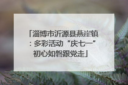 淄博市沂源县燕崖镇：多彩活动“庆七一” 初心如磐跟党走