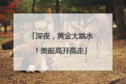 深夜，黄金大跳水！美股高开高走
