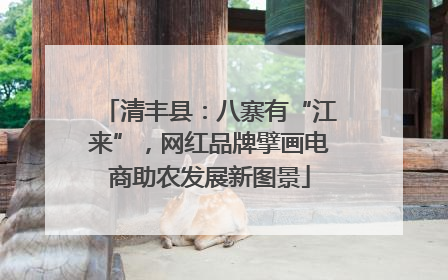 清丰县：八寨有“江来”，网红品牌擘画电商助农发展新图景