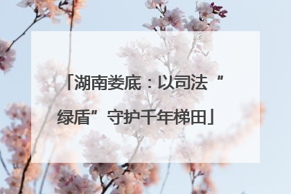 湖南娄底：以司法“绿盾”守护千年梯田