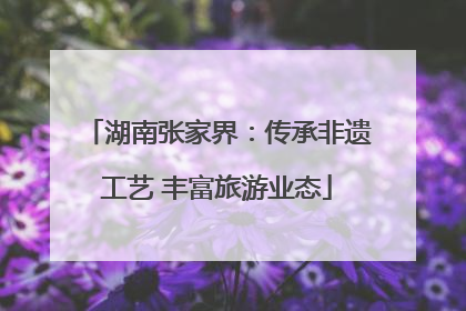湖南张家界：传承非遗工艺 丰富旅游业态