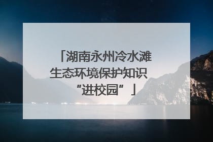 湖南永州冷水滩生态环境保护知识“进校园”