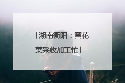 湖南衡阳：黄花菜采收加工忙
