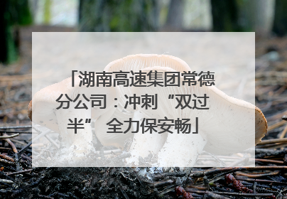 湖南高速集团常德分公司：冲刺“双过半” 全力保安畅