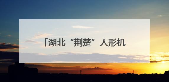 湖北“荆楚”人形机器人公司落户武昌