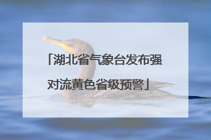 湖北省气象台发布强对流黄色省级预警