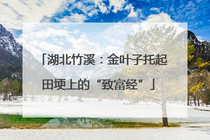 湖北竹溪：金叶子托起田埂上的“致富经”