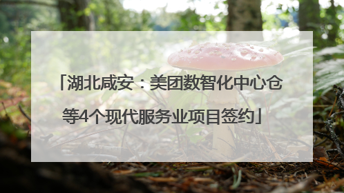 湖北咸安：美团数智化中心仓等4个现代服务业项目签约