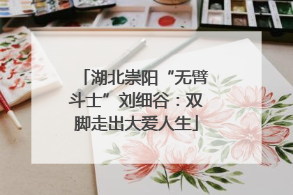 湖北崇阳“无臂斗士”刘细谷：双脚走出大爱人生