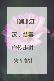 湖北武汉：禁毒宣传走进火车站
