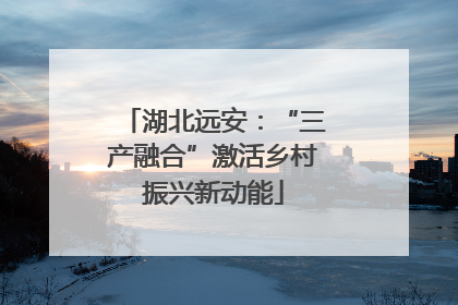 湖北远安：“三产融合”激活乡村振兴新动能