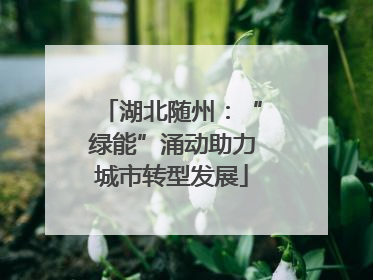 湖北随州：“绿能”涌动助力城市转型发展