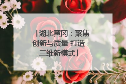 湖北黄冈：聚焦创新与质量 打造三维新模式