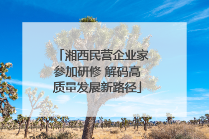 湘西民营企业家参加研修 解码高质量发展新路径