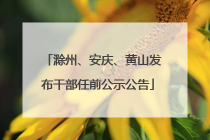 滁州、安庆、黄山发布干部任前公示公告
