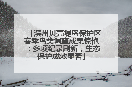 滨州贝壳堤岛保护区春季鸟类调查成果惊艳：多项纪录刷新，生态保护成效显著