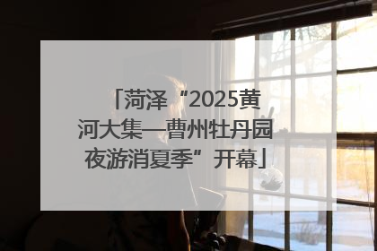 菏泽“2025黄河大集—曹州牡丹园夜游消夏季”开幕