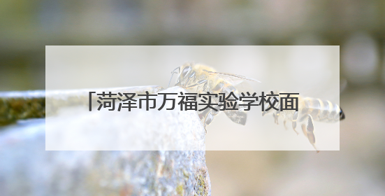 菏泽市万福实验学校面向牡丹区、鲁西新区招收500名高一新生