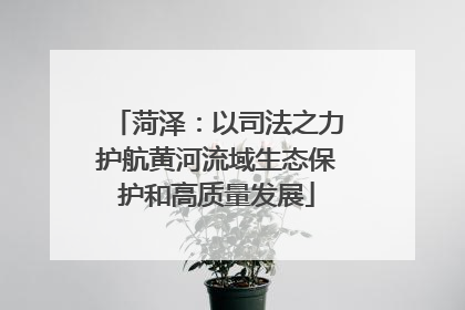 菏泽：以司法之力护航黄河流域生态保护和高质量发展