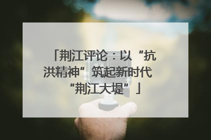 荆江评论：以“抗洪精神”筑起新时代“荆江大堤”