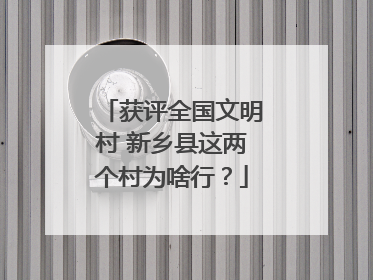 获评全国文明村 新乡县这两个村为啥行？