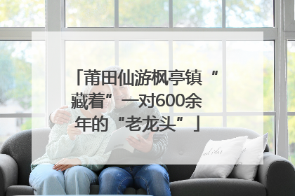 莆田仙游枫亭镇“藏着”一对600余年的“老龙头”