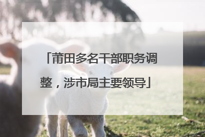 莆田多名干部职务调整，涉市局主要领导