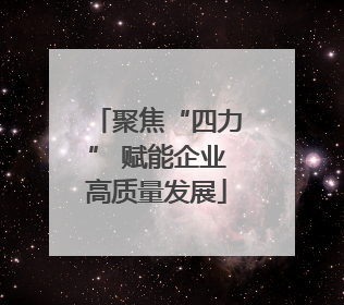 聚焦“四力” 赋能企业高质量发展