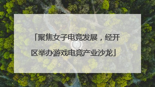 聚焦女子电竞发展，经开区举办游戏电竞产业沙龙