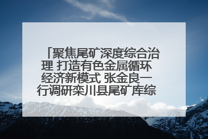 聚焦尾矿深度综合治理 打造有色金属循环经济新模式 张金良一行调研栾川县尾矿库综合治理工作